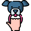 mammal,people,dog,animal,hobbies and free time,play with pet
